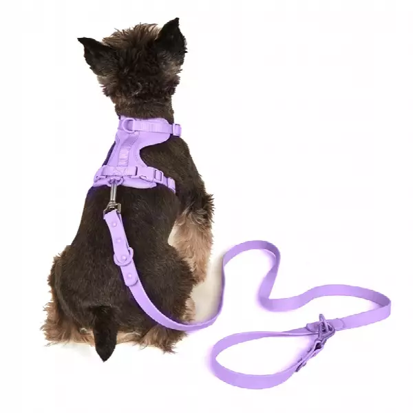 Fashion Medium and Large Dog Explosion Proof and Waterproof Outdoor Walking Set Pet Harness Leash Collar Set