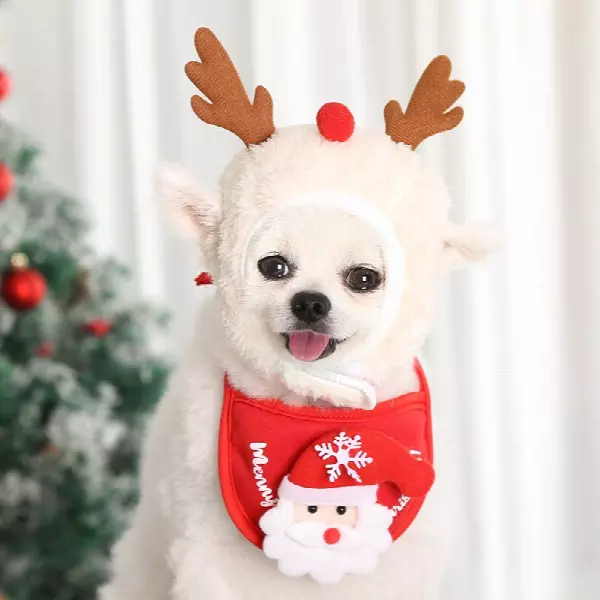 Wholesale Merry Christmas Dog Hat & Bib Set Pet Winter Warm Clothes for Small Dogs Cats Santa Cap Xmas Gift for Dogs