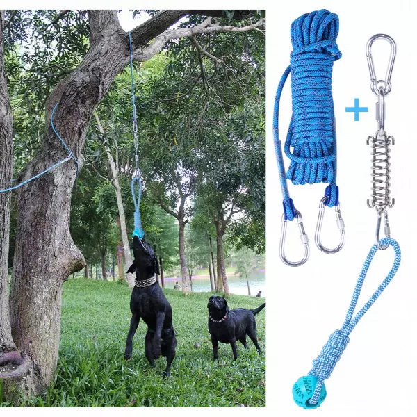 Dog Outdoor Bungee Solo Hanging Toy Durable Interactive Dog Tug Toy with Metal Spring Kit for Wholesale