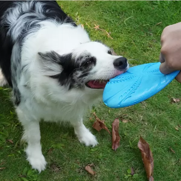 China Supplier Dog Training Interactive Toy Frisbee Flexible Floatable Dog Disc Toy for Long-Distance Flies and Floats for Wholesale