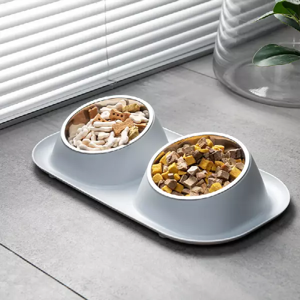 Two Removable Stainless Steel Feeding Bowls with Non-Slip Leak-Proof Plastic Stand Suitable for Small and Medium Pet Puppy Cat Feeder Tableware Supplies