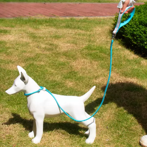 Small and medium-sized dog polyester material dog traction rope explosion-proof chest back dog walking puppy pet dog walking rope 